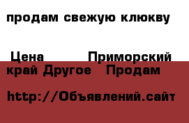 продам свежую клюкву. › Цена ­ 300 - Приморский край Другое » Продам   